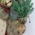 Guirlanda de Natal Decorada Mini 22x7cm Merry Christmas Noel - Inigual Decor | Loja de Decoração, Plantas Artificiais, Utilidades, Presentes, Páscoa e Natal