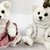 Casal Urso Sentado Branco Rosa Palha Natal Luxo 20x15cm na internet