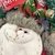 Guirlanda de Natal Decorada Mini 22x7cm Merry Christmas Noel na internet