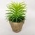 Planta Suculenta c/ vaso Artificial Permanente 14cm IN5367 na internet
