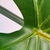 Folha Verde Tropical Planta Artificial 97x30cm Toque Real - loja online