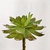 Imagem do Suculenta Verde Espinho Planta Artificial Permanente 14x12cm