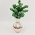 Buque De Eucalipto Planta Artificial Verde Escuro 33x14cm G - Inigual Decor | Loja de Decoração, Plantas Artificiais, Utilidades, Presentes, Páscoa e Natal