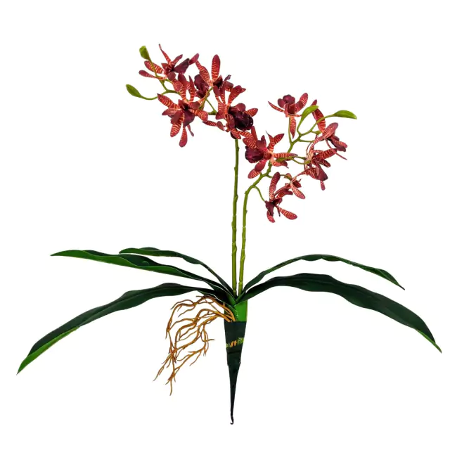 Orquídea Vermelha Trichoglottis 45x39cm Planta Artificial