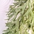 Chifre De Veado Pendente Planta Artificial 106x18cm na internet