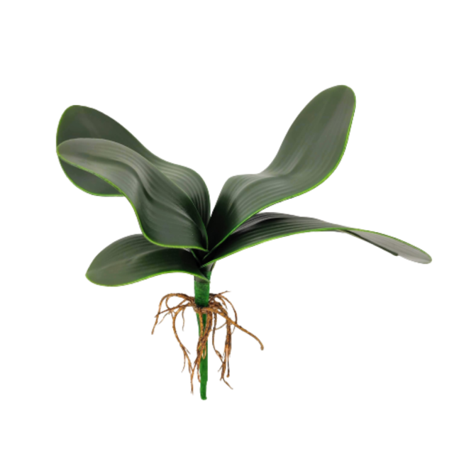 Folha De Orquídea Com Raiz 30x10cm Planta Artificial