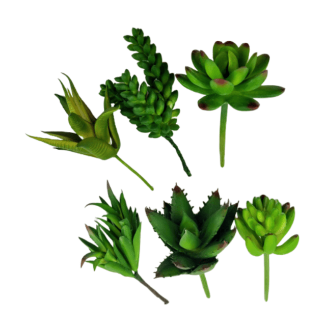 Mini Suculenta Kit 6pç Planta Artificial Permanente Agave