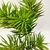 Planta Suculenta Artificial Permanente Pinheirinho 36x16cm - Inigual Decor | Loja de Decoração, Plantas Artificiais, Utilidades, Presentes, Páscoa e Natal