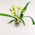 Orquídea Branca Planta Artificial 31x20x17cm Com Vaso - comprar online