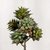 Suculenta Pinha Roxa X7 Planta Artificial Permanente 18cm - loja online
