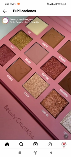 sombras Tease Me Beauty Creations paleta sombras Tease Me Beauty Creations paleta