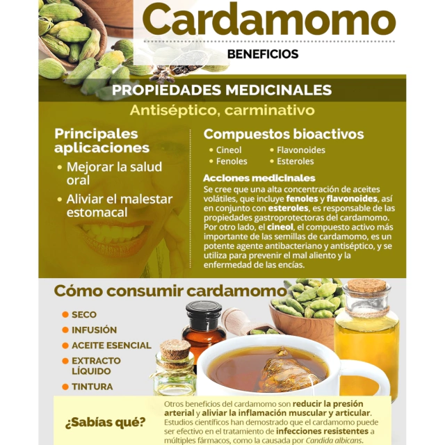 CARDAMOMO EN VAINAS - Comprar en EL MOLINO VERDE