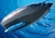 5159 - Motor Subacuático para barcos, lanchas o submarinos de Playmobil en internet