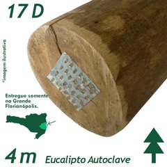 Viga de Eucalipto Autoclave Diâmetro de 17 x 400 cm - comprar online