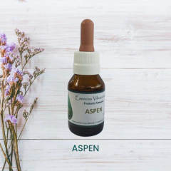 Aspen 20ml