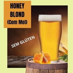 Kit Cerveja Artesanal Honey Blond Sem Glúten 10 litros