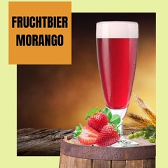Kit Cerveja Artesanal Fruchtbier de Morango 10 litros