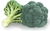 Couve Brócolis Avenger | Sakata | 2.000 sementes - comprar online