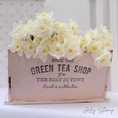 C025 - Green Tea - comprar online