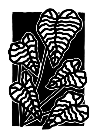 Print V, Nicolás de Caro