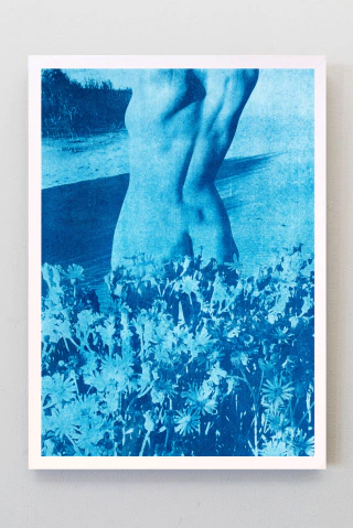 A flor de piel, Print de Cianotipia, Clara Z