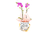 Cesta Presente Floral Cachepot - loja online