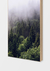 Quadro Decorativo Floresta com Neblina I na internet