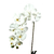 Arranjo Orquideas Brancas com Vaso Vidro Cristal BÁRBARA na internet