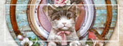Banner da categoria Orchids and Cats 