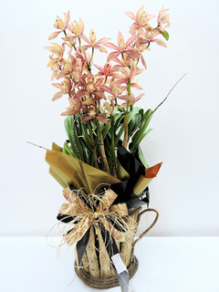Orquídea Cimbidium Rústica