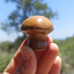 Mushroom gua sha de Ónix Marrón