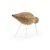 Imagen de Shorebird Medium