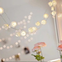 Imagen de Guirnalda de luz con flores
