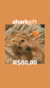 Shark Gift R$80,00