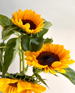 Ramo Girasoles - comprar online
