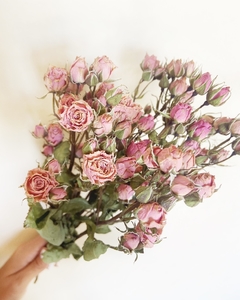 Mini Rosas Preservadas en internet