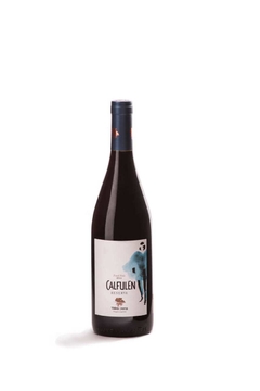 Videla Dorna - CALFULEN - Pinot Noir Reserva