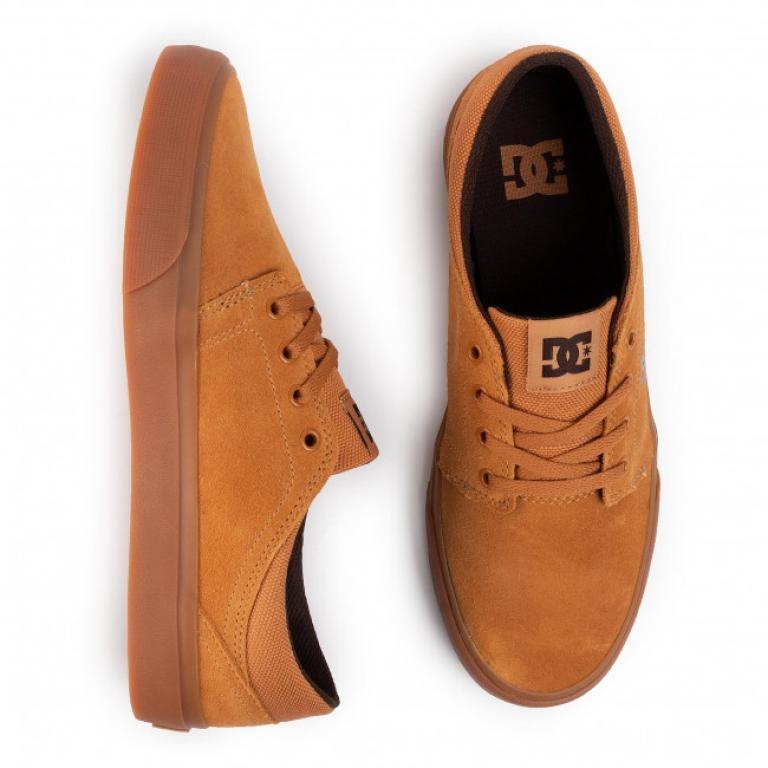Zapatillas DC Trase SD BRN (1212112158)