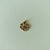 Pingente Ouro 18k Flor Papoula Recortada - loja online