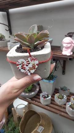 maceta cuadrada