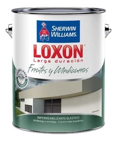 Loxon Larga Duración Frentes y Medianeras x 20 Lts Color Blanco