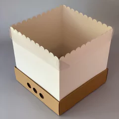 Pack x 6 u DRIP BOX 25 (25x25x25 cm) - wincopack