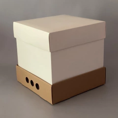 Pack x 6 u DRIP BOX 25 TAPA CARTULINA sin visor (25x25x25 cm) - comprar online