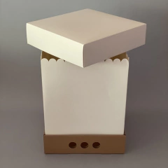 Pack x 6 u MID BOX 32 TAPA CARTULINA BLANCA sin visor (30x30x32 cm)