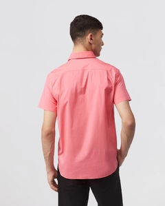 Camisa Psycho Bunny - El duque Boutique 