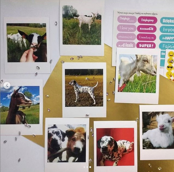 Fotos tipo Polaroid imantadas - Comprar en ploteando