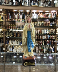 Nossa Senhora de Lourdes na internet