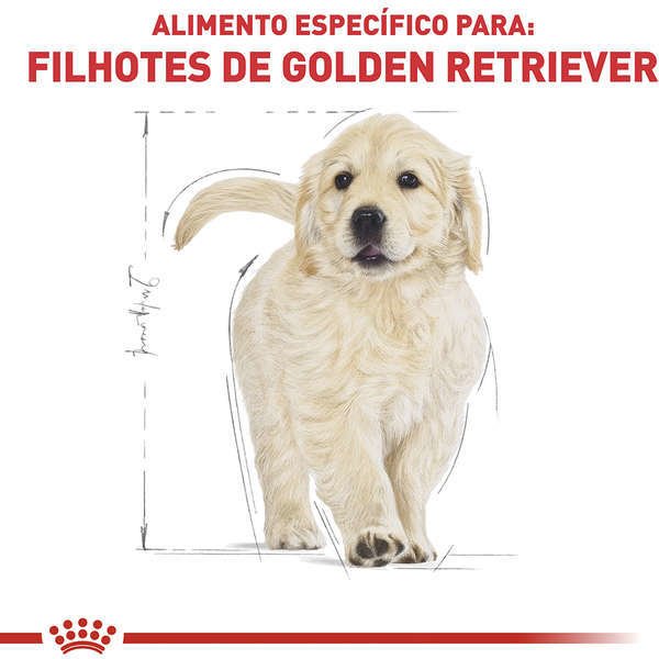 Ração seca royal canin puppy golden retriever para cães filhotes Clearance