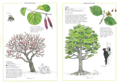 Inventario ilustrado de árboles - comprar online