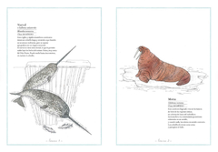 Inventario ilustrado de mares - comprar online